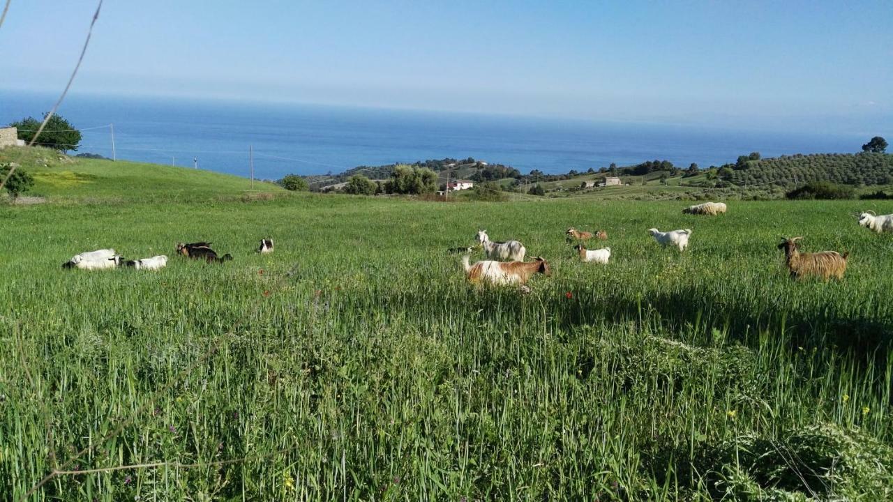 הוילה Albidona Agriturismo Masseria Tufaro מראה חיצוני תמונה